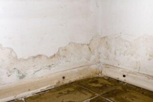 crawslpace-waterproofing-blacksburg-va-seal-tite-basement-waterproofing-1
