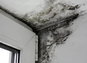 wall-cracks-cloverdale-va-seal-tite-basement-waterproofing-2