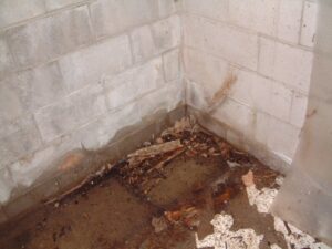 basement-waterleaks-chantilly-va-seal-tite-basement-waterproofing-1