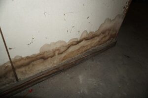 basement-leaks-seal-tite-basement-waterproofing-2
