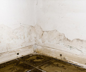 basement-leaks-seal-tite-basement-waterproofing-1