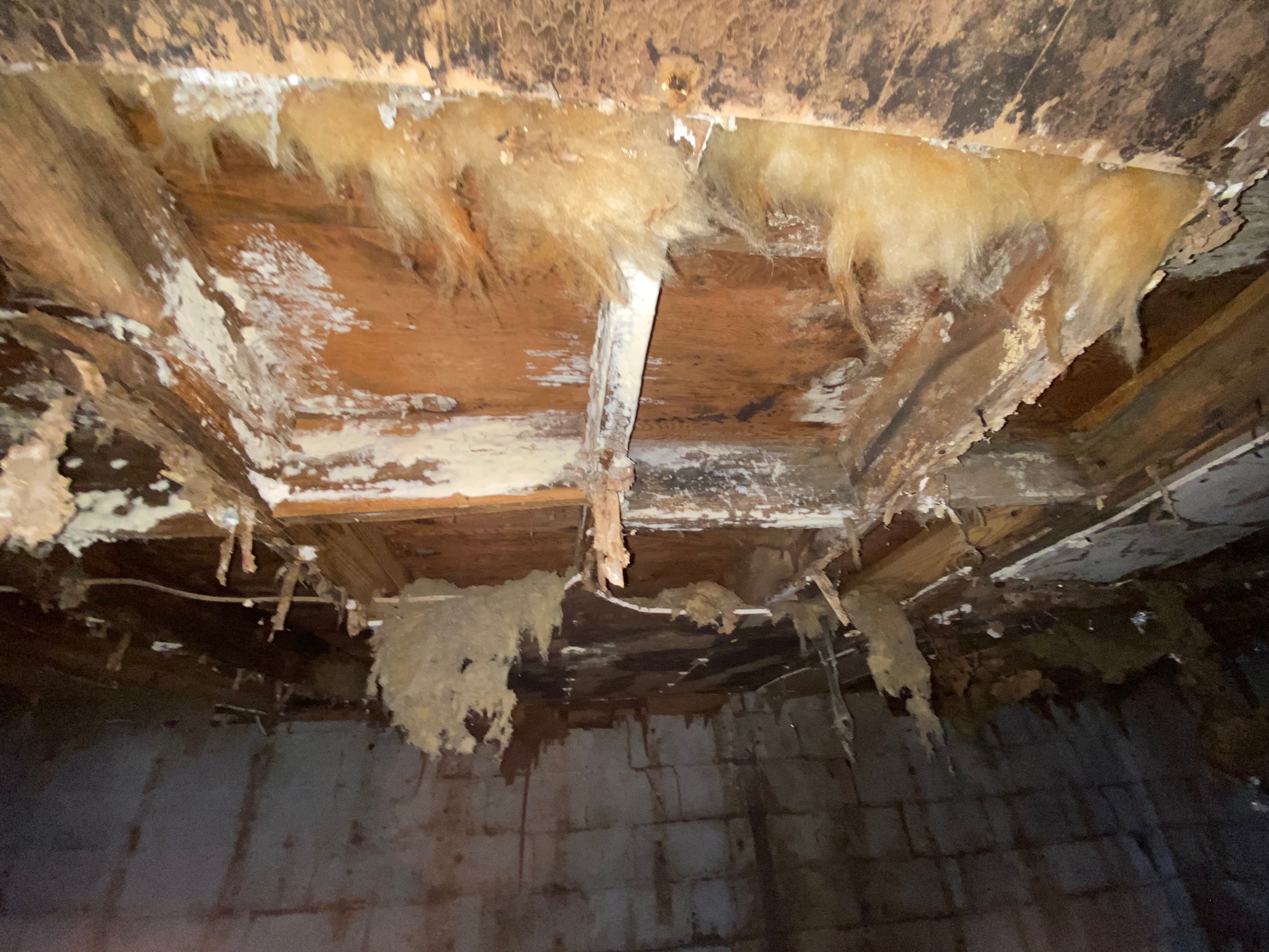 Severely damaged ceiling with exposed wooden beams and decaying insulation, conveying neglect and deterioration in a dimly lit, abandoned space.